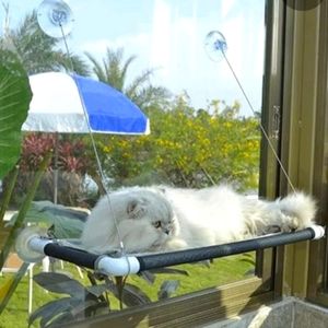 Pefuny cat bed window